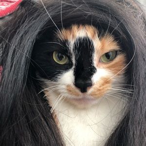 Meet your Posher, Terry